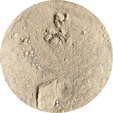 Simulant Photo of BP-1